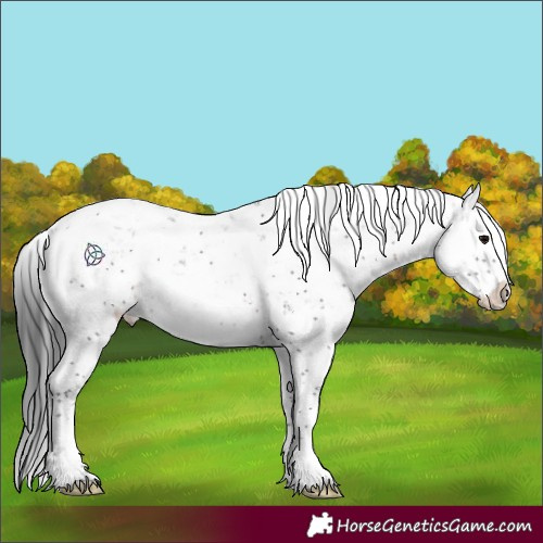 Horse Color:White Spotted Brown Sabino 
