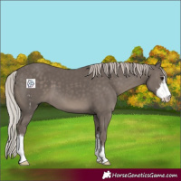 Horse Color:Silver Black Sabino