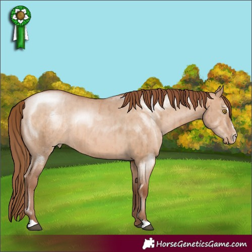 Horse Color:Brown Pearl Dun Sabino Rabicano Brindle 