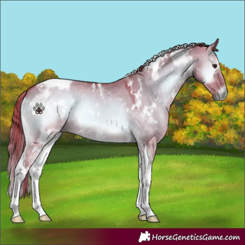 Horse Color:Watercolor White Spotted Liver Red Dun Onyx Tobiano 