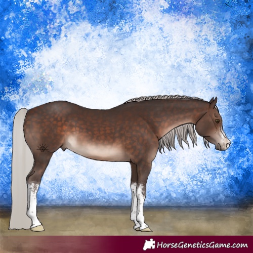 Horse Color:White Spotted Silver Brown 
