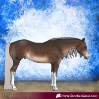 Horse Color:White Spotted Silver Brown 