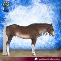 Horse Color:White Spotted Silver Brown