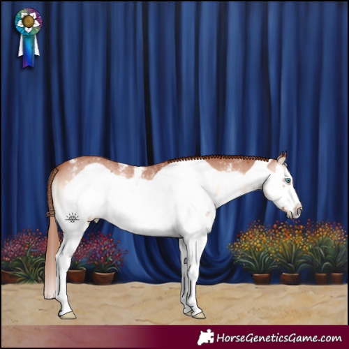Horse Color:Red Onyx Sabino Splash Frame 