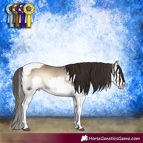 Horse Color:Liver Red Dun Onyx Splash Tobiano 