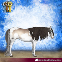 Horse Color:Liver Red Dun Onyx Splash Tobiano 