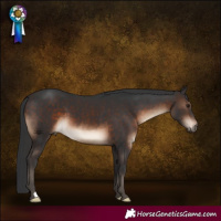 Horse Color:Brown 