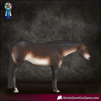 Horse Color:Brown 