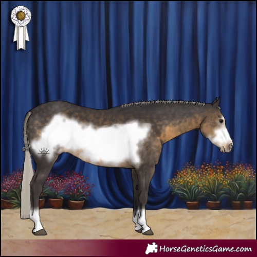 Horse Color:Silver Smoky Black Frame 