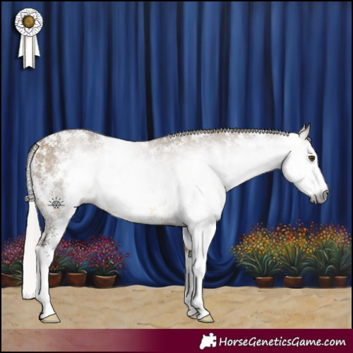 Horse Color:Gray Silver Buckskin Dun Sabino 
