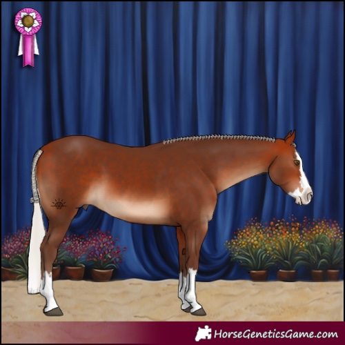 Horse Color:Silver Bay Splash 