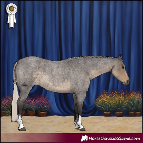 Horse Color:Silver Smoky Blue Roan Sabino 