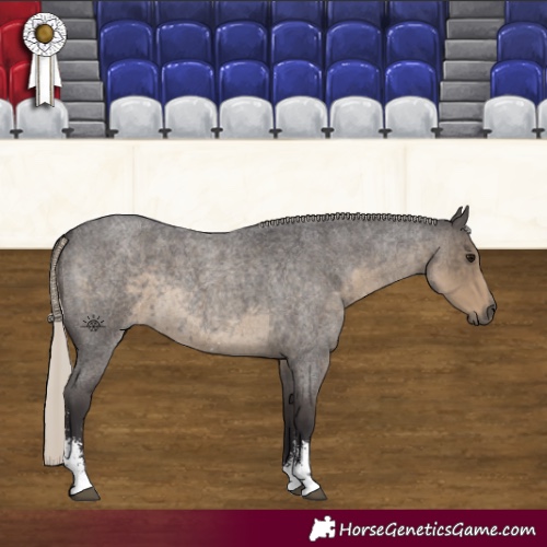 Horse Color:Silver Smoky Blue Roan Sabino 
