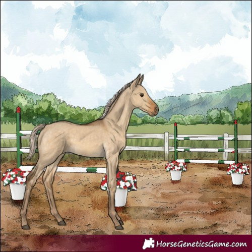 Horse Color:Chocolate Palomino Dun 