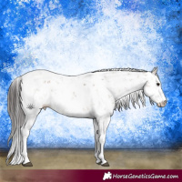 Horse Color:Brown Dun Sabino Rabicano