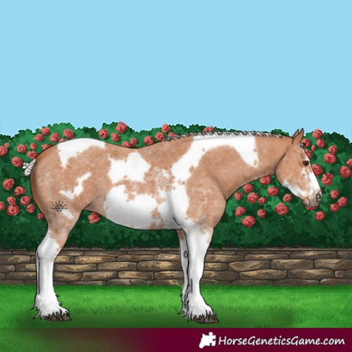 Horse Color:Silver Bay Sabino Tobiano Frame 