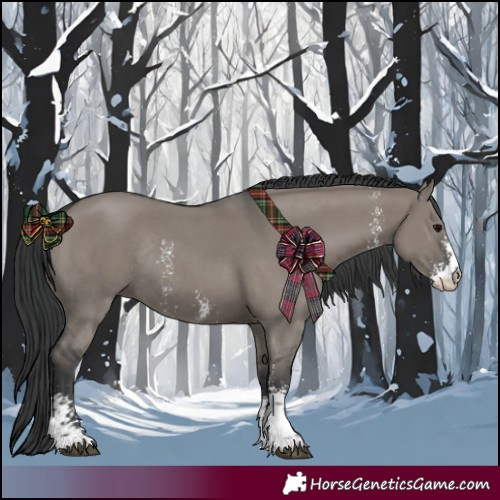 Horse Color:Grullo Sabino Rabicano 