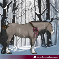 Horse Color:Grullo Sabino Rabicano 