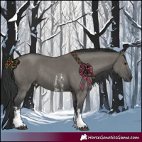 Horse Color:Grullo Sabino Rabicano 