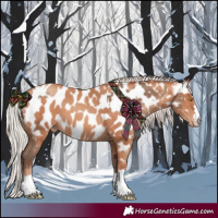 Horse Color:Sable Champagne Near Leopard  and Silver Sable Champagne Near Leopard 