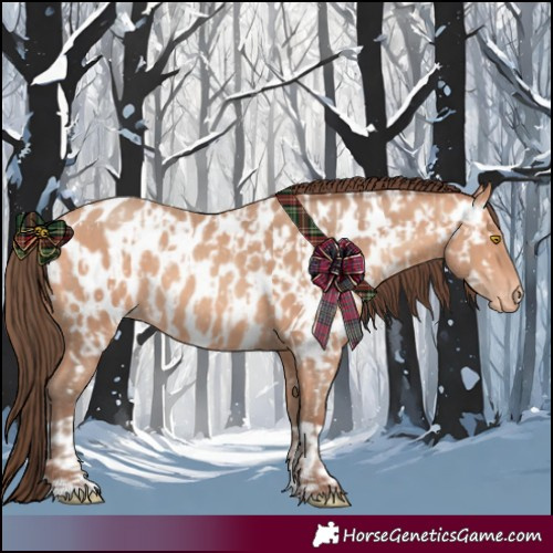 Horse Color:Amber Champagne Appaloosa  and Amber Champagne Appaloosa 