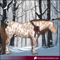 Horse Color:Amber Champagne Appaloosa  and Amber Champagne Appaloosa 