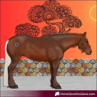 Horse Color:Silver Bay Rabicano 