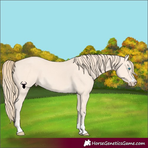 Horse Color:Perlino 