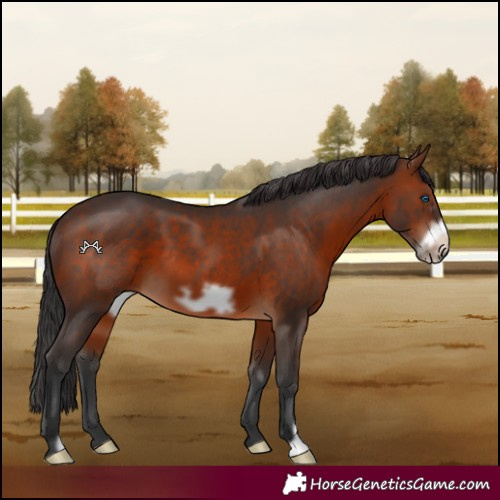 Horse Color:Brown Frame 