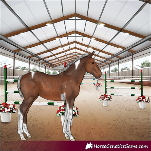 Horse Color:Silver Bay Tobiano 