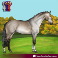 Horse Color:Gray Brown Dun Tobiano Rabicano 