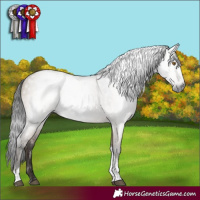Horse Color:Gray Brown Dun Tobiano Rabicano