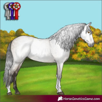 Horse Color:Gray Brown Dun Tobiano Rabicano 