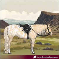 Horse Color:Palomino Near Leopard  and Palomino Blanket 