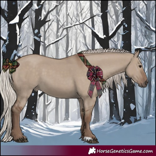 Horse Color:Silver Grullo 