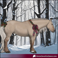 Horse Color:Silver Grullo 