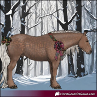 Horse Color:Silver Black 