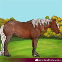 Horse Color:Silver Bay