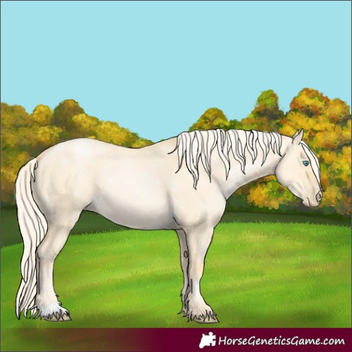 Horse Color:Palomino Pearl Dun 