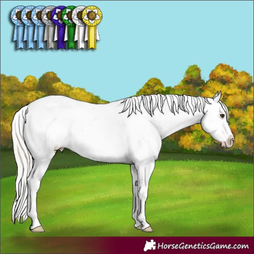 Horse Color:Silver Brown Dun Sabino Appaloosa Rabicano Brindle