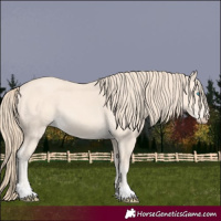 Horse Color:Perlino 