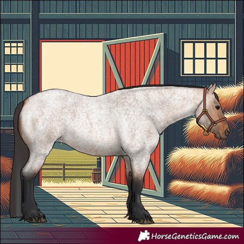 Horse Color:Bay Roan Dun 