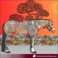 Horse Color:Bay Ice 