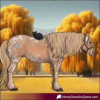 Horse Color:Chestnut Ice 