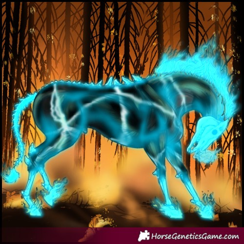 Horse Color:Void Thunderstruck Black Tobiano Frame 