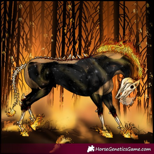 Horse Color:Void Buckskin Splash Frame 