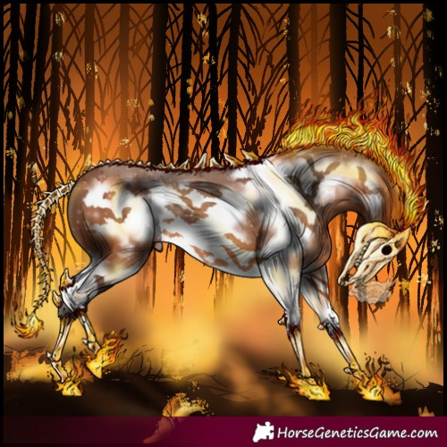 Horse Color:Bay Splash Frame