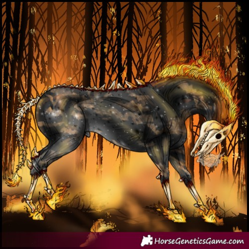 Horse Color:Void Buckskin Roan Splash Tobiano Frame 