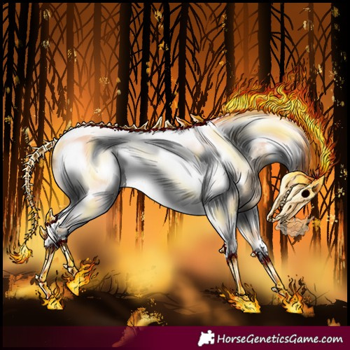 Horse Color:Buckskin Roan Splash Tobiano Frame 