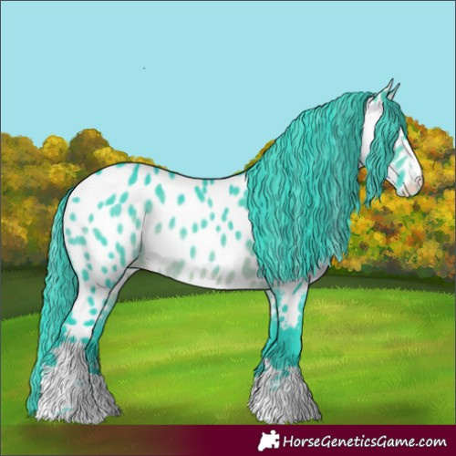 Horse Color:Watercolor Brown Chinchilla Appaloosa 